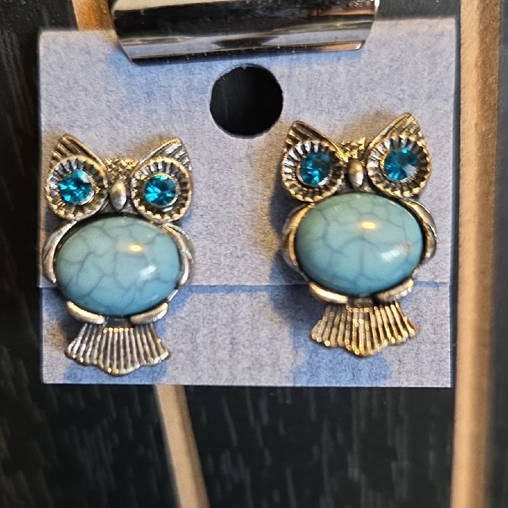 Silver Owl Stud Earrings with Turquoise Stones - Women Jewelry